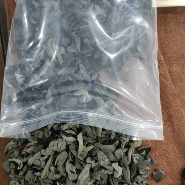 优质黑木耳，秋耳，冬耳。菜耳，毛耳产地批发。
