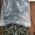 优质黑木耳，秋耳，冬耳。菜耳，毛耳产地批发。