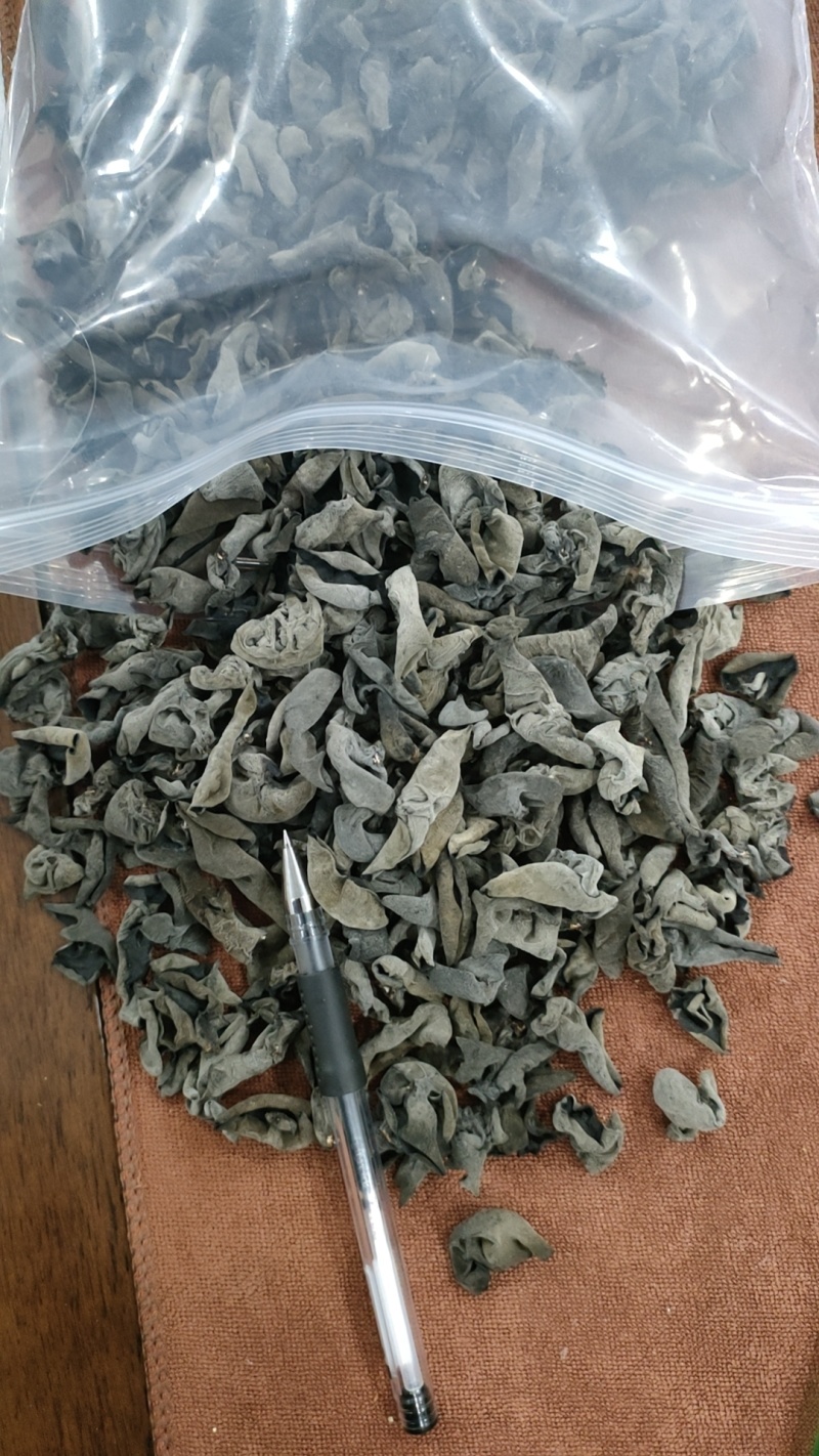 优质黑木耳，秋耳，冬耳。菜耳，毛耳产地批发。
