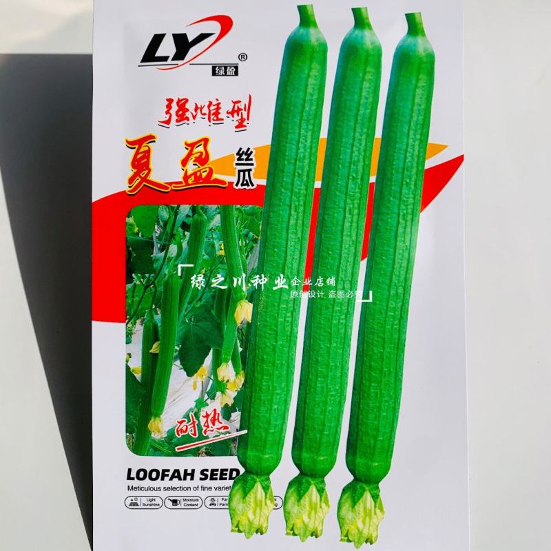 夏盈强雌耐热无敌丝瓜种子特长丝瓜种子早熟节节有瓜长香丝瓜
