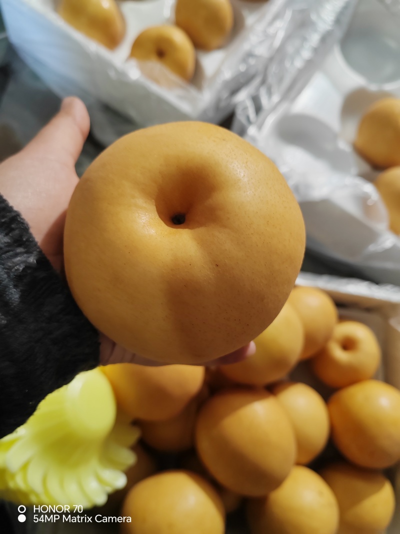 韩系新高梨，新高梨库存大量有货价格便宜电联供应全国
