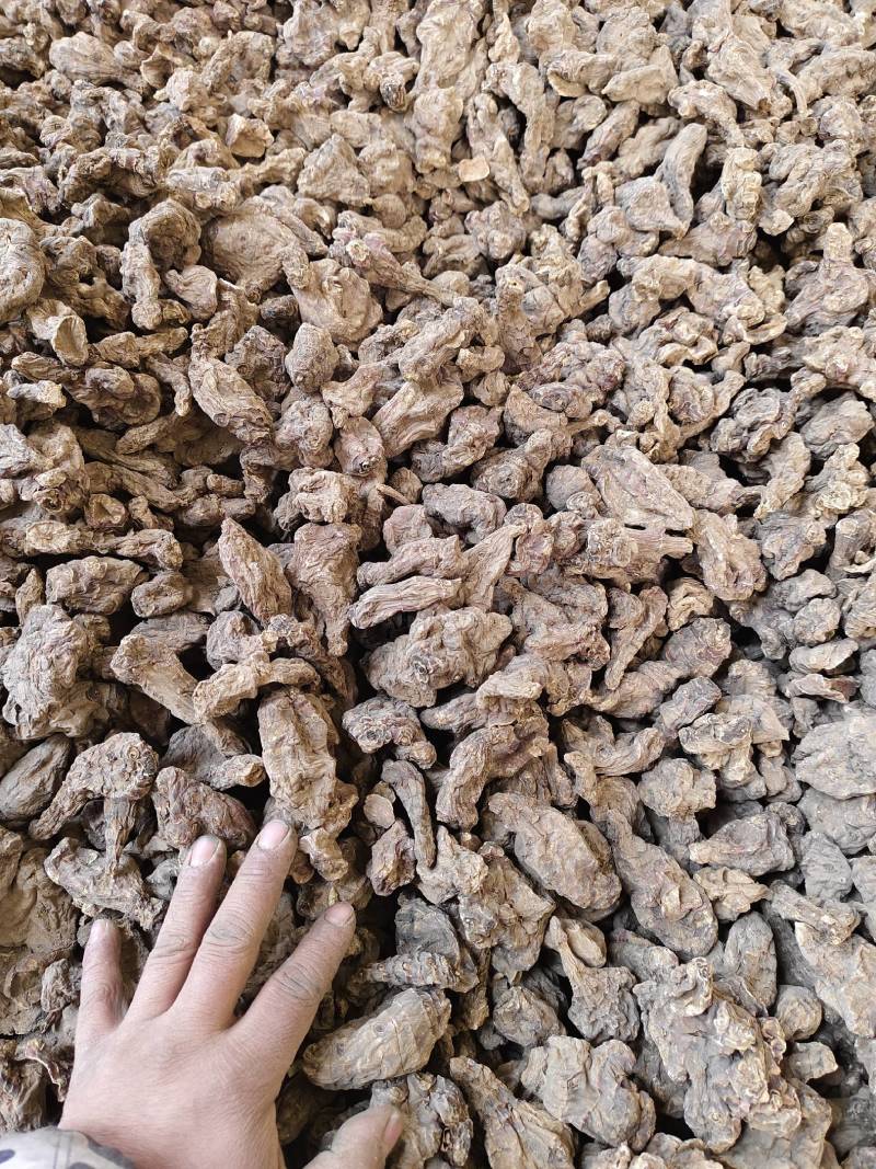 干洋姜。无硫。有硫都有