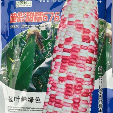 玉米种子迪彩甜糯676彩甜糯玉米甜糯香籽粒晶莹漂亮