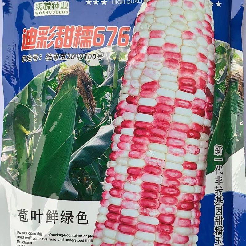 玉米种子迪彩甜糯676彩甜糯玉米甜糯香籽粒晶莹漂亮