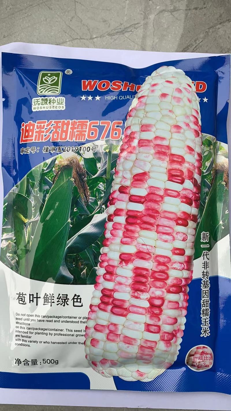 玉米种子迪彩甜糯676彩甜糯玉米甜糯香籽粒晶莹漂亮