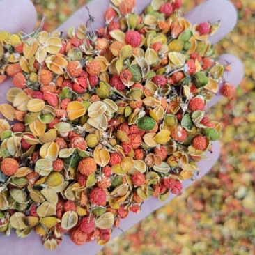合欢花干货东北合欢花欢迎选购！