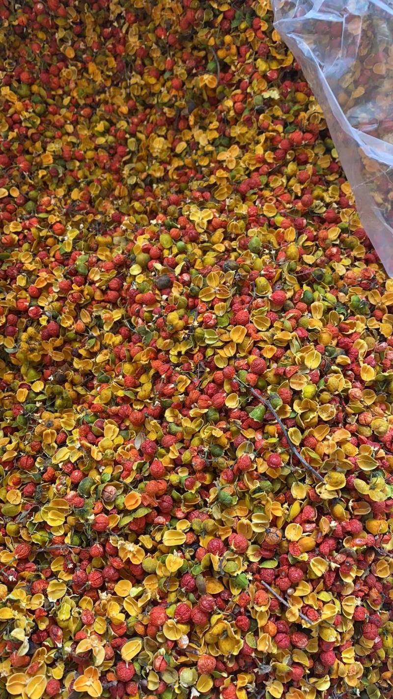 合欢花干货东北合欢花欢迎选购！