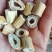 芦根，正品，干净无杂新货，货源充足，支持在线下