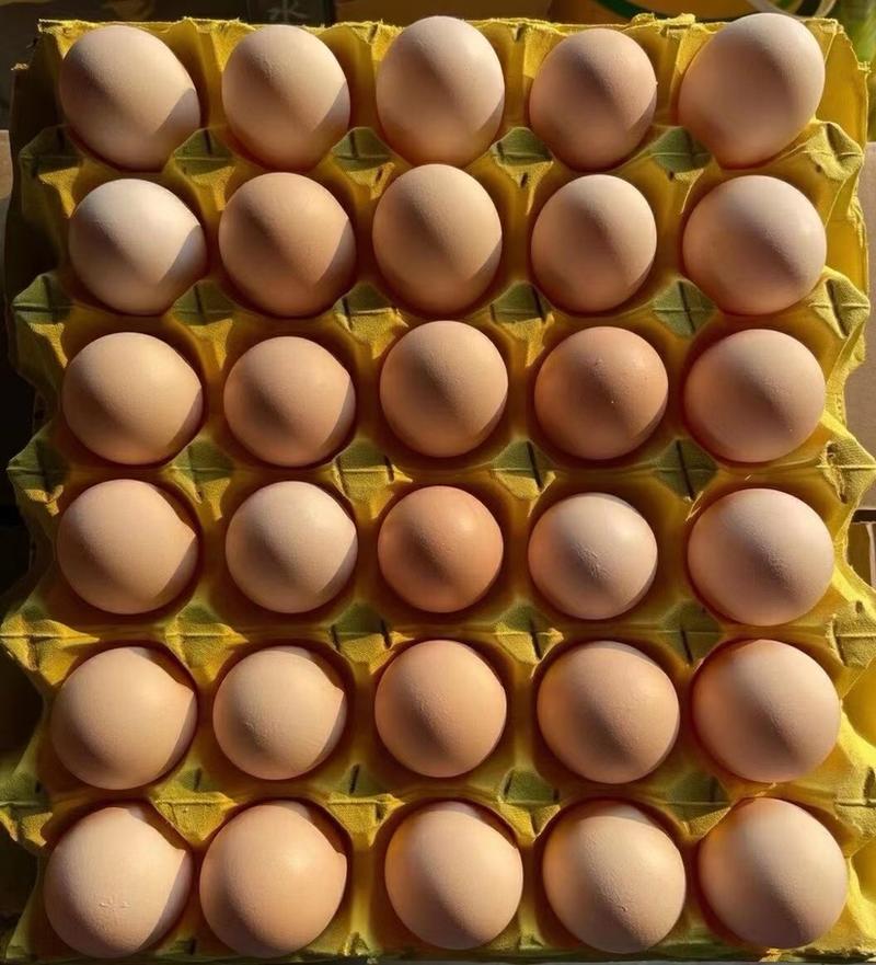 农家白凤土鸡蛋散养粉壳蛋壳厚蛋香蛋优价美