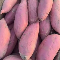 西瓜红红薯货源充足产地直发全国发货