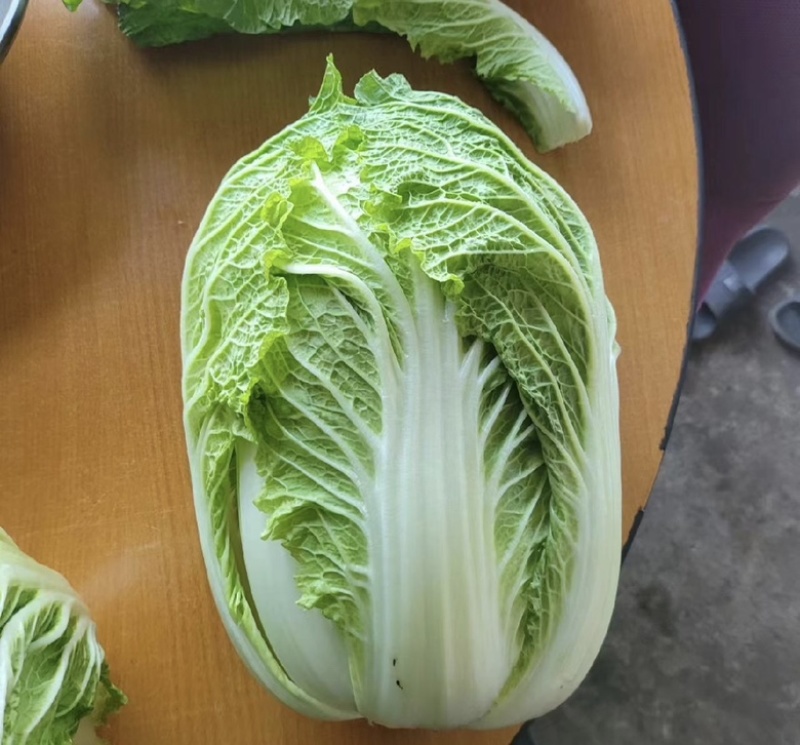 东台市黄心白菜，百亩基地，整车供应，欢迎各位客户前来洽谈