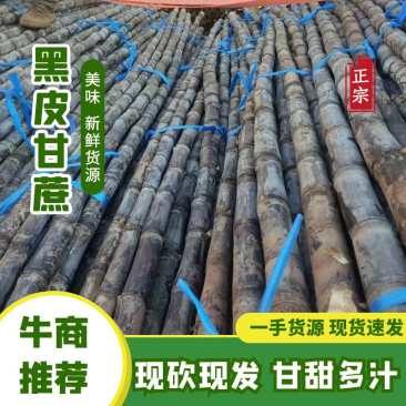 【优选】云南黑皮甘蔗-产地直供-品质保证-诚信可优惠