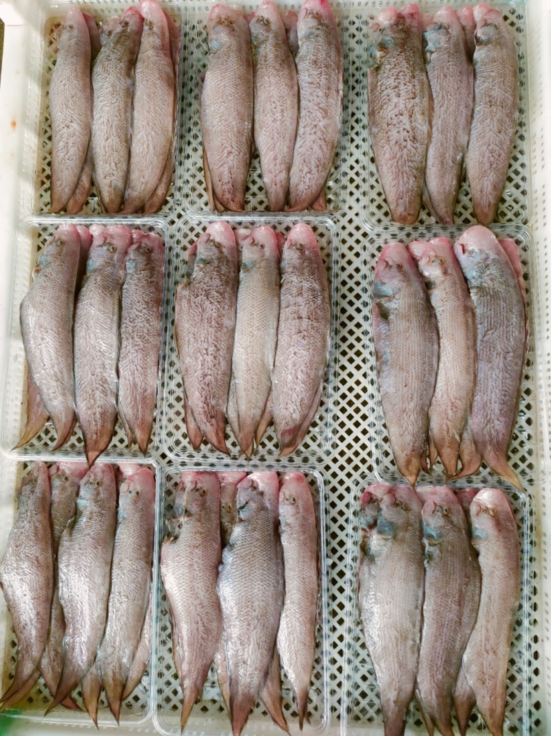 三去龙利鱼、去鳞去肚清洗干净、500克盒装真空