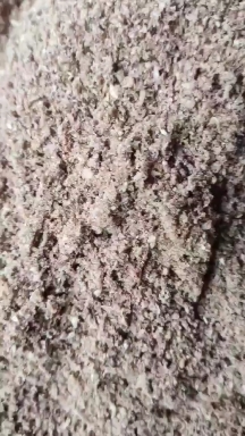 纯正鸡骨粉