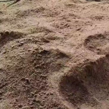 纯正鸡骨粉