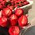草莓黔莓一号大凉山冬季露天种植一手货源产地直发电联