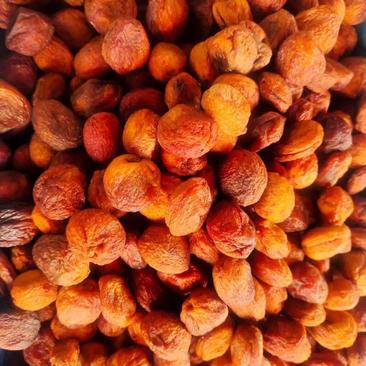 新疆喀什杏干香甜可口一手货源产地直发欢迎电联