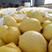 安岳柠檬、各种规格、产地直发、价格便宜、欢迎咨询洽谈。