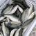 鲈鱼精品鲈鱼各种规格，垂钓，上市场，质量杠杠