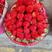 【热卖】长丰红颜奶油草莓大量上市，香甜多汁一件代发