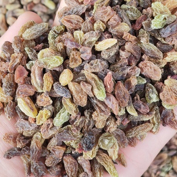 新疆吐鲁番葡萄干绿干黄干通货量大从优品质保证