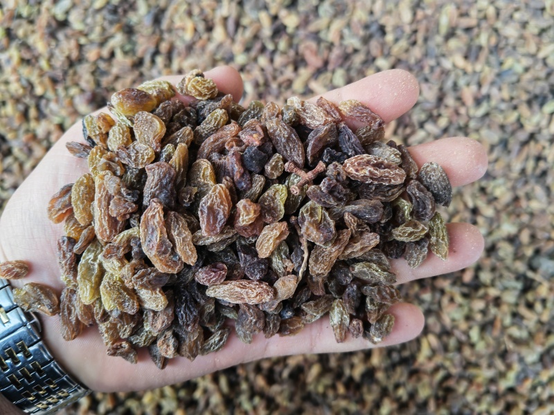 新疆吐鲁番葡萄干绿干黄干通货量大从优品质保证