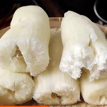 粉粉糯糯的面包薯，白木薯，有5万斤左右，每斤1.3元