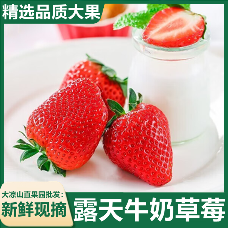 【精品】四川大凉山正宗冬季露天草莓大量有货品质保证