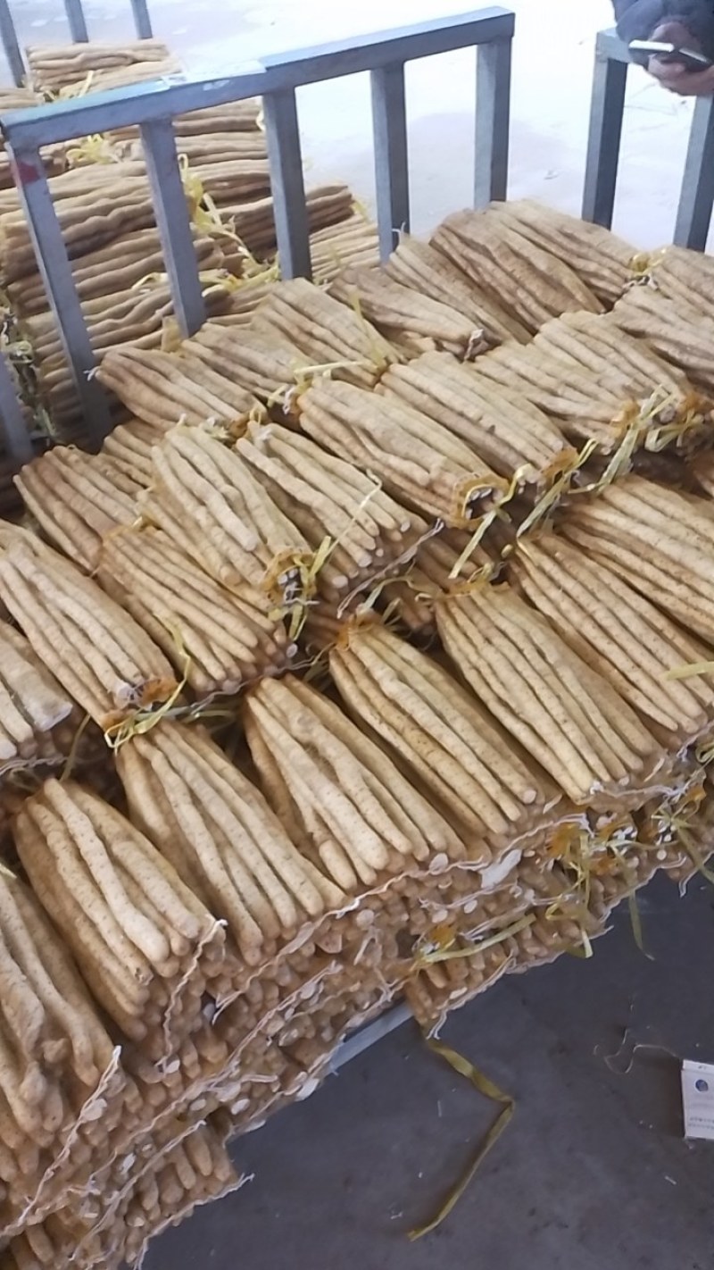 小白嘴山药河北产区直发保质保量供货发货全国