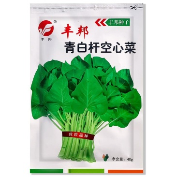 正品丰邦三叉大叶空心菜种子耐旱正宗大叶空心菜籽大棚露天用