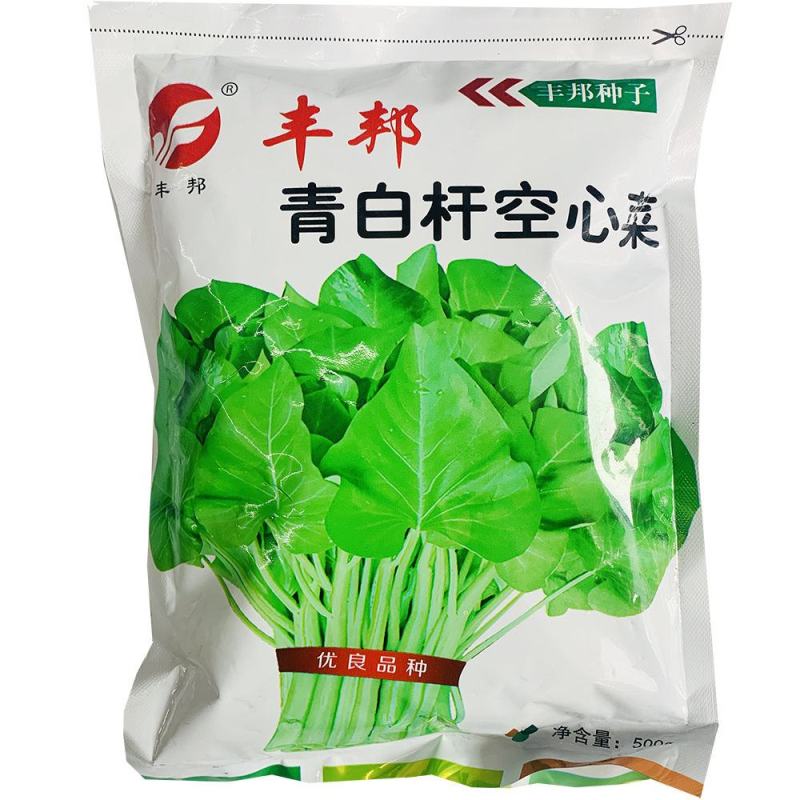 正品丰邦三叉大叶空心菜种子耐旱正宗大叶空心菜籽大棚露天用