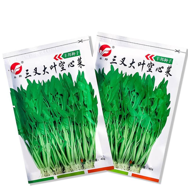 正品丰邦三叉大叶空心菜种子耐旱正宗大叶空心菜籽大棚露天用
