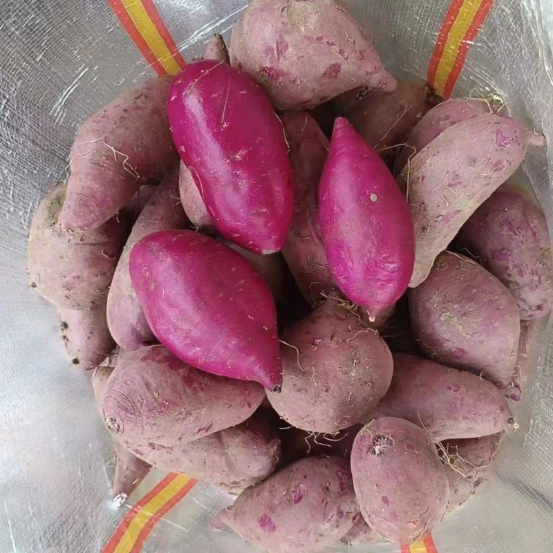 广东紫薯大量上市品种齐全支持各个包装，可走市场，电商工厂