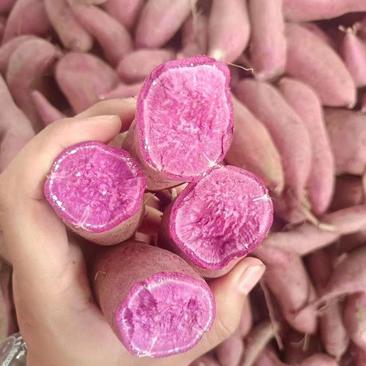 广东紫薯大量上市品种齐全支持各个包装，可走市场，电商工厂