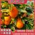 【精品橙子】纽荷尔脐橙产地直采可视频看货