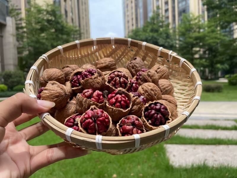 新果上市红皮核桃红衣核桃