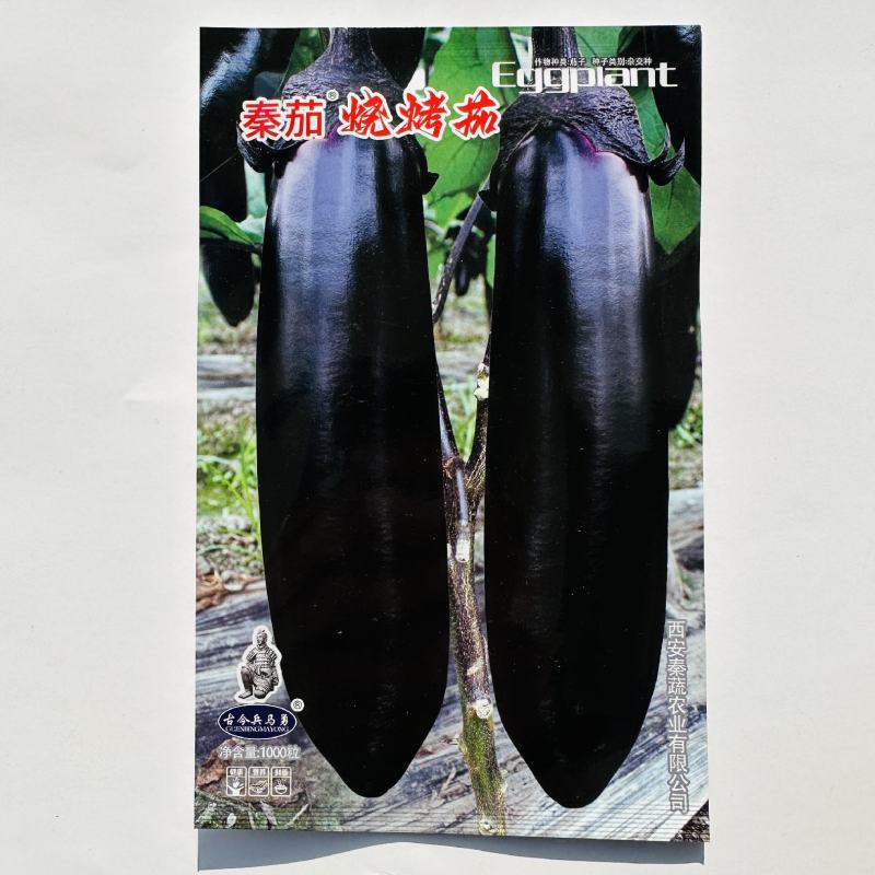 秦茄烧烤茄种子油黑亮丽茄子种子软糯香好吃粗棒顺直黑色茄子