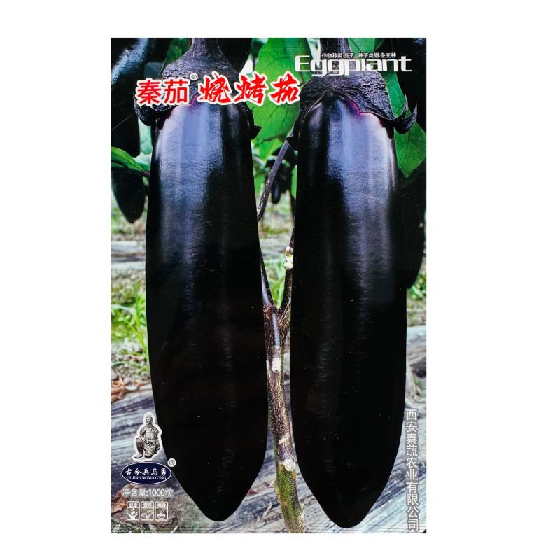 秦茄烧烤茄种子油黑亮丽茄子种子软糯香好吃粗棒顺直黑色茄子