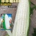珍珍糯600白糯玉米种子基地专用鲜食玉米种子糯中带甜
