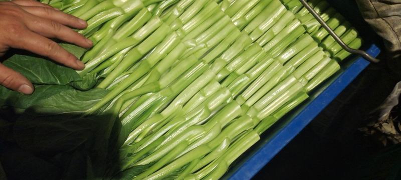 供应超市，食堂，