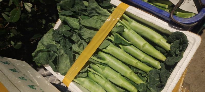 供应超市，食堂，