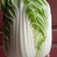 黄心大白菜