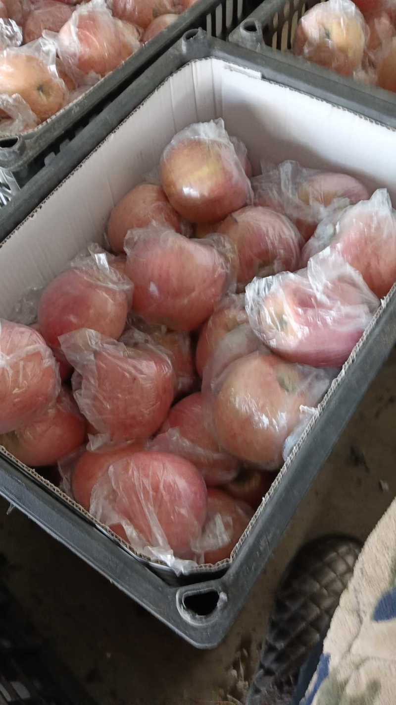 万荣纸加膜富士香甜可口，皮薄肉厚，产地直销
