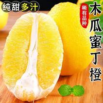 木瓜蜜丁橙金丝柚9斤柚子新鲜应当季水果高档水果