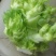 儿菜