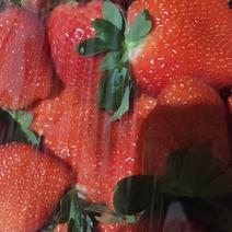 安丘石埠子香野草莓