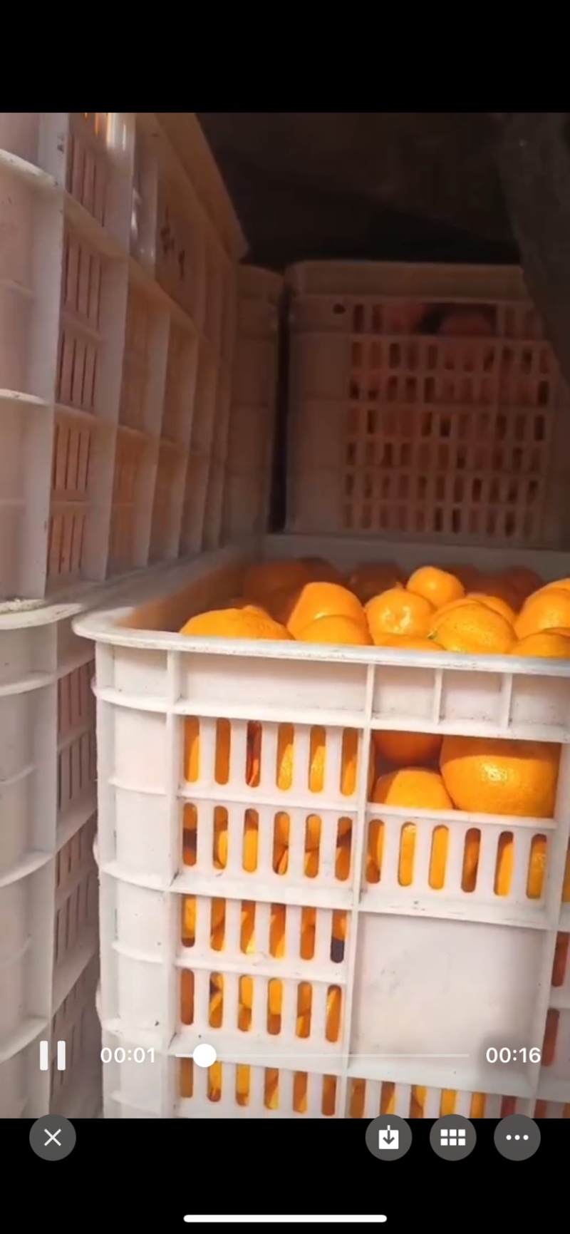 商品橘，甜度很好