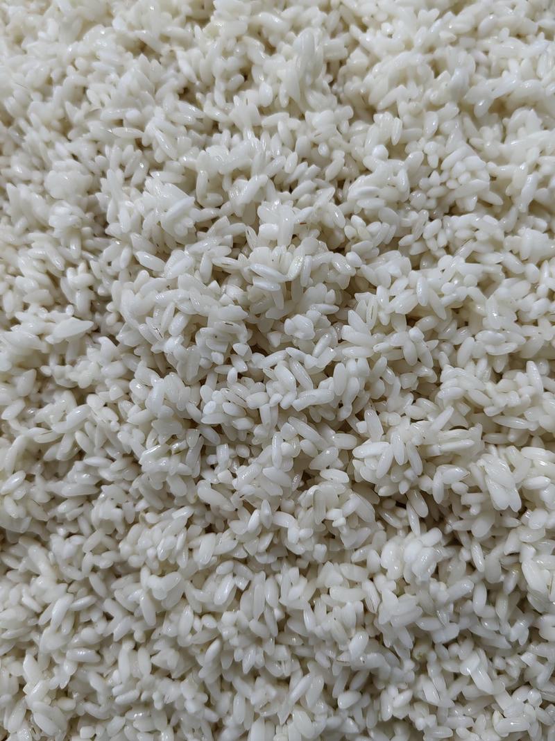 米粉生产基地品质保证劲道爽滑可长期合作欢迎老板电话联系