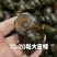 湖北潜江鲜直发