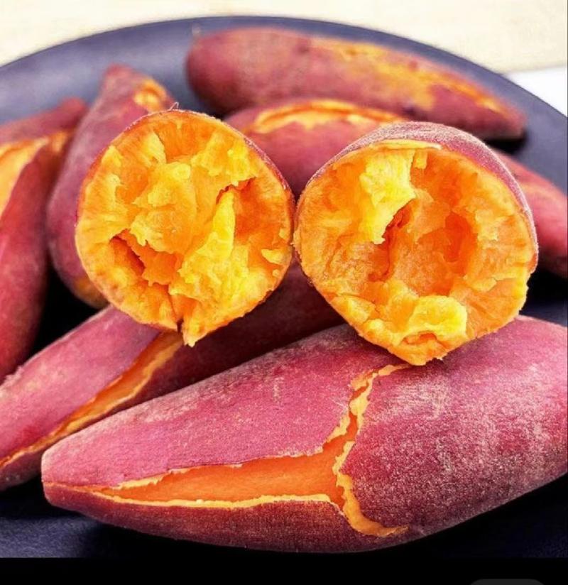 山东优质红薯，红薯精品大量上市欢迎采购